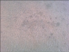 Beige-Before-2-Close-up